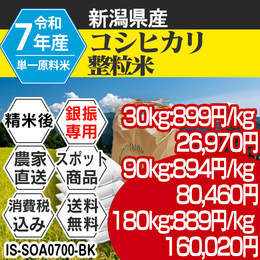 コシヒカリ 精白米 新潟県押切 R7年 整粒米 【IS-SOA07003-BK-99】