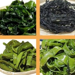 【生産者直売】高級阿波の逸品　山畠特選お試しわかめセット