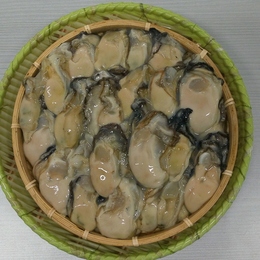 【訳あり品】宮城県産　冷凍むき身牡蠣　カキ　6kg