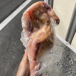 国産親鳥中抜き/老鶏/丸鶏