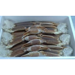 2024年新物原料!冷凍生ずわいがに6L約2.5kg×2