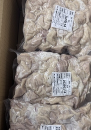 国産豚大腸ボイル切　モツカット