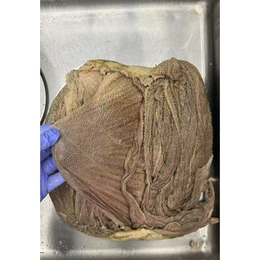 【特売品】オーストラリア産黒センマイ★ハラール食材