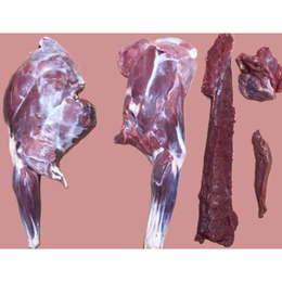 チルド　宮崎県獲れ日本シカ半割　モモ、カタ、ロース付きアバラ、ヒレ、ネック