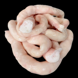 黒毛和牛丸腸　もつ/焼肉/ホルモン　