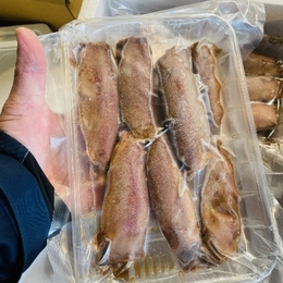 【希少!!国産スルメイカ使用】　イカ肝沖漬け　250g//10PC  保存料着色料等不使用