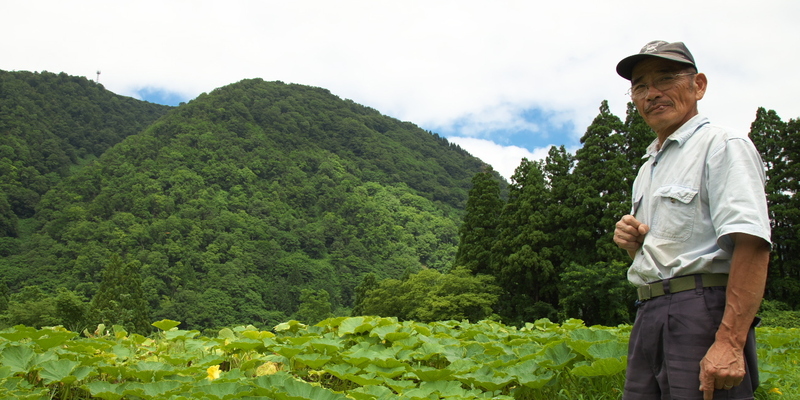 五箇山 農園食堂