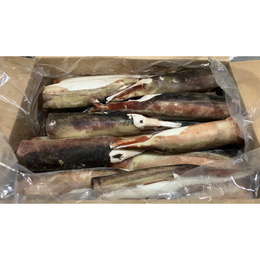 【生食可】青森県産アカイカ　バラ冷凍　10kg　約20杯　いか烏賊