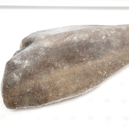 カラスカレイドレス500g-1kg　カラスガレイD