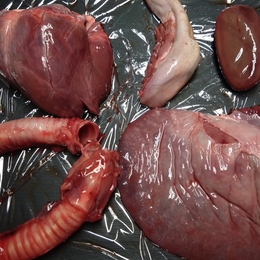 格安【小田原産】小田原のめぐみ　鹿内臓肉と鹿の血セット　ハツ、タン、レバー、肺、膵臓、食道、腎臓