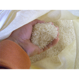 【予約商品】令和7年産　信州　飯綱町産　コシヒカリ　10kg