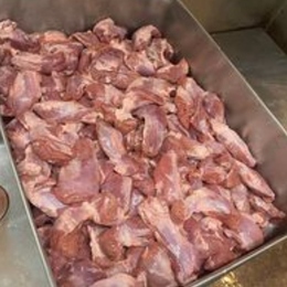 三重県産　国産豚サガリ　10kg