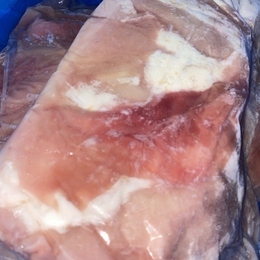 パナマ産高品質ギアラ　赤センマイ