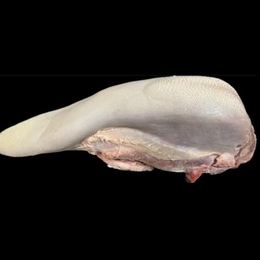 国産牛タン　タン元/タン中/タン先/タン芯/上タン