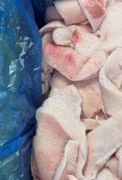 国産　豚背脂　A脂　10kg