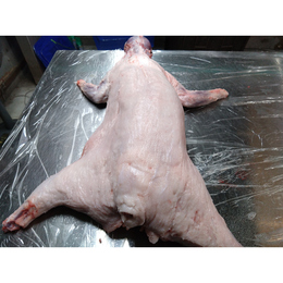 【小田原産】:限定1　アライグマ1頭(脂多め)おすすめ個体