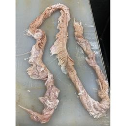 三重県産 豚大腸ひも　生　10kg