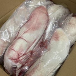 送料込み　数量限定特価!!国産牛白タン