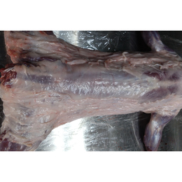 【小田原産】:限定1　ハクビシン1頭 (程よい脂がついています)