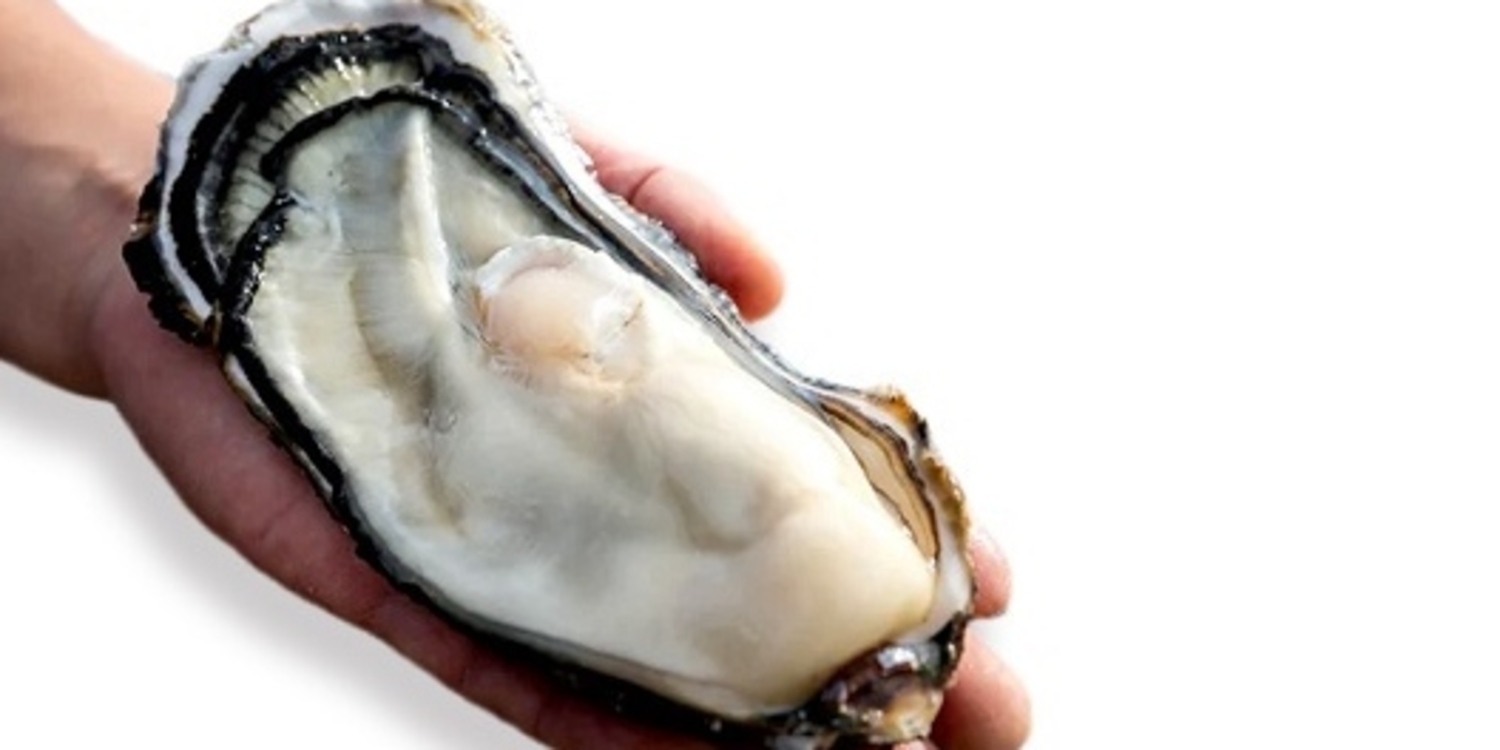 株式会社大将水産