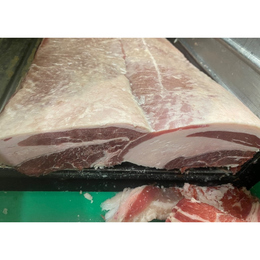  ナショナル!ショートプレート!ショートエクステンション