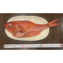 【約￥390/尾】青森県産金目鯛　セミドレス10kg　180~260g/尾　約50尾