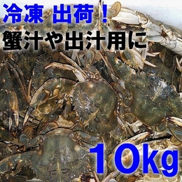 蟹出汁用に!イシガニ石蟹　スープ出汁用に 冷凍10kg 蟹 ラーメンに