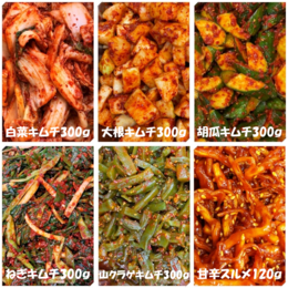 お試しキムチ6点セット　白菜　大根　胡瓜　ねぎ　山クラゲ　甘辛スルメ