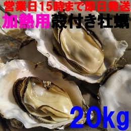 【15時まで即日発送も可能】加熱用牡蠣20kg 約200粒 宮城県産 殻付き牡蠣 カキ 牡蛎 