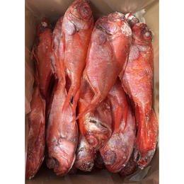 【無料サンプル!!】青森県産天然金目鯛　200g/300g　約2尾入り