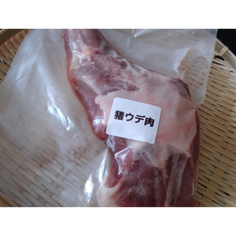 【小田原産】:限定1　猪腕肉600g(骨付き)