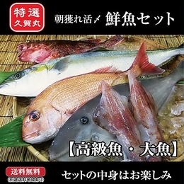 【送料無料】朝獲れ鮮魚!高級魚・大魚セット「神経抜き」 ★五島列島より活〆鮮魚を直送★11300円