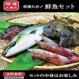 【送料無料】初回限定 朝獲れ 鮮魚 通常セット 神経抜き★五島列島活〆鮮魚★4824円⇒3900円