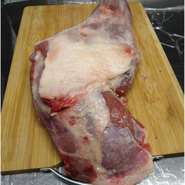 【小田原産】:猪メス腕肉　1.3kg(骨付き)