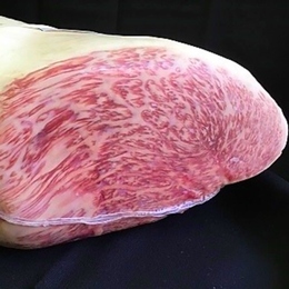 不定貫【特選松阪牛そともも】