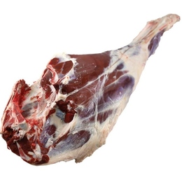 北海道産　馬木葉のエゾシカ肉　骨付モモ肉　ブロック