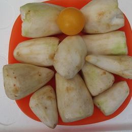 2025年新物冷凍皮むき里芋 Mサイズ　(極端に大きいものはカット済)