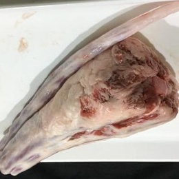 【不定貫】国産牛テール