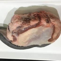 【不定貫】国産牛タン