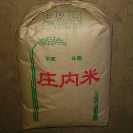 【送料込価格!!】令和7年産庄内産ササニシキ玄米24kg