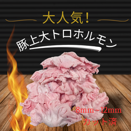 国産豚 上大トルホルモン