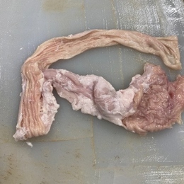 三重県産　豚直腸　テッポウ　白もつ　開　10kg