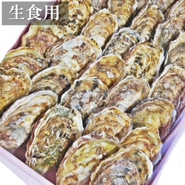 生食用 広田湾の殻付き牡蠣 大 30個 