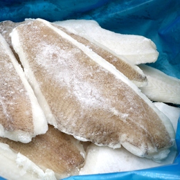 アブラカレイスキンオンフィーレ/5kg