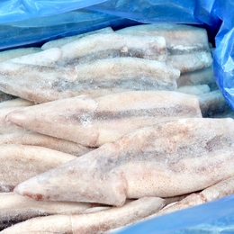 マツイカつぼ抜き　40入