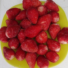 とちあいか　いちご　2024年5月収穫分まくり　10kg