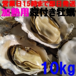 【15時まで即日発送も可能】加熱用牡蠣10kg 約100粒 宮城県産 殻付き牡蠣 カキ 牡蛎 