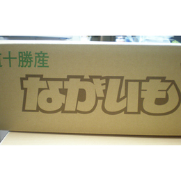 　わけあり　北海道　十勝産　ながいも　2Kg