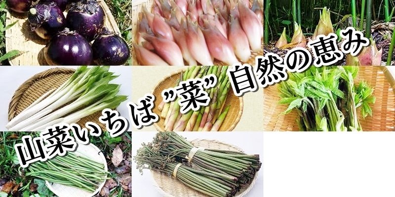 山菜いちば ”楽菜” 自然の恵み