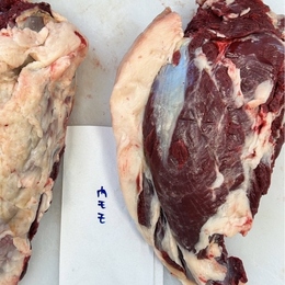 【希少!!】2024年5月捕獲ヒグマ　熊肉 ウチモモ肉(脂少なめ)熊肉内もも